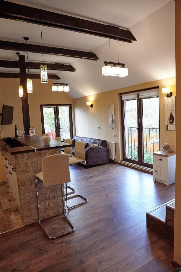 Apartament Rozelor Брашов Екстериор снимка